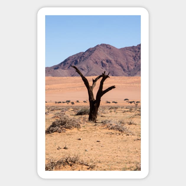 One tree in the desert. Sticker by sma1050